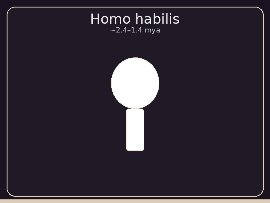 Homo habilis