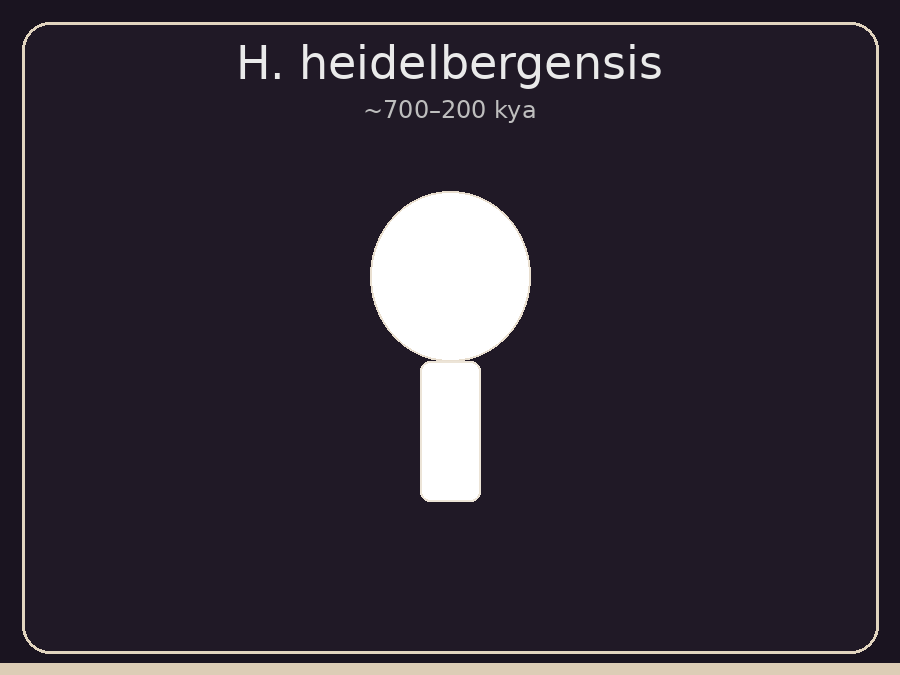 Homo heidelbergensis