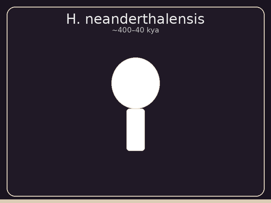 Homo neanderthalensis
