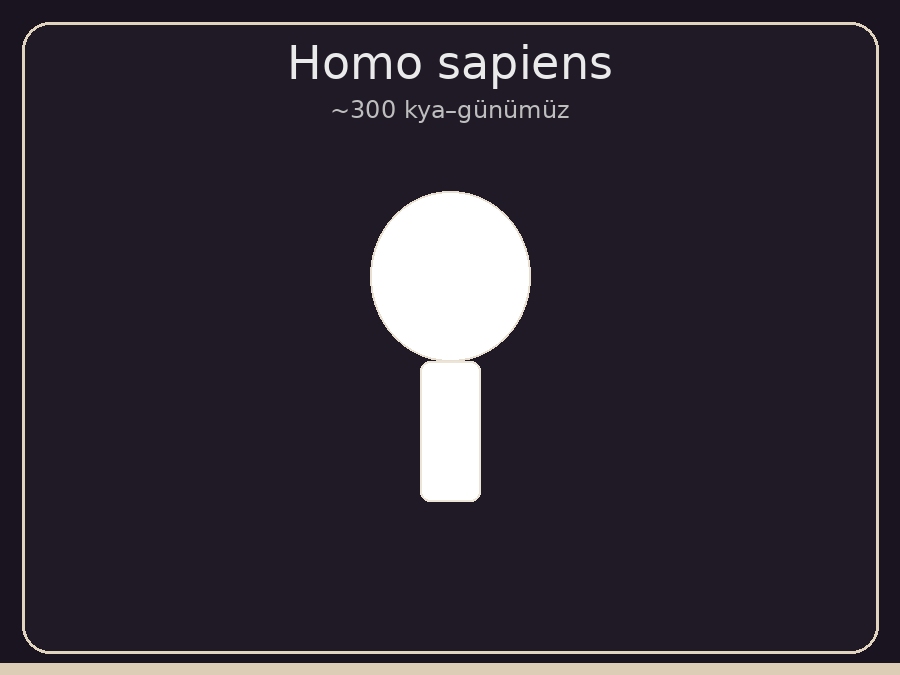 Homo sapiens